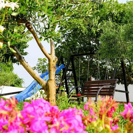 In Zaton