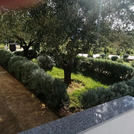 In Zaton شقة